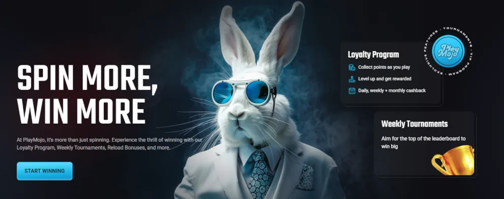 Spin More Win More Banner